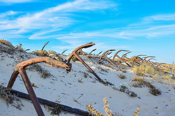포토 JPG 해외이미지 유럽 모래 여행 패턴 자연 낚시 휴가 항해 어류 사람없음 야외 마을 골동품 역사 어부 모래언덕 참치 포르투갈 철 버리기 박물관 낚시꾼 지역 닻 어장 탐사 대서양 남쪽 랜드마크 백패커 옛날 해외202309 해외포토 직업 나라 바다 무늬 배_교통 모션 레저 수중동물 방향 언덕 생태계 파일형식