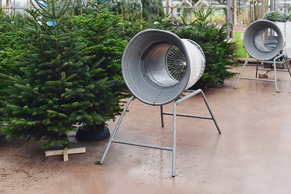 포토 JPG 해외이미지 나무 식물 크리스마스 겨울 포장 휴가 새해 사람 사람없음 장식 초록색 농장 세일 상점 덮개 나뭇가지 시골 신선 소나무 바늘 그물 시장 선택 구매 플라스틱 12월 묶기 무역 팩 상록수 침엽수 전나무 소매 공평 짐싸기 매각 해외202309 해외포토 계절 기념일 산업 컬러 컨셉 농업 모션 재질 쇼핑 화장품 뚜껑 도구 날짜 파일형식