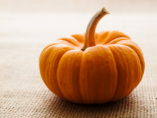 포토 JPG 해외이미지 음식 줄기 채소 오렌지 과일 호박 사람없음 갈색 노란색 미니어처 흰색 직물 작음 삼베 유기농 섬유 스쿼시 짜임 내추럴 미니 해외202309 해외포토 식물 웰빙 스포츠 컬러 구기 모형 크기 파일형식 천_직물