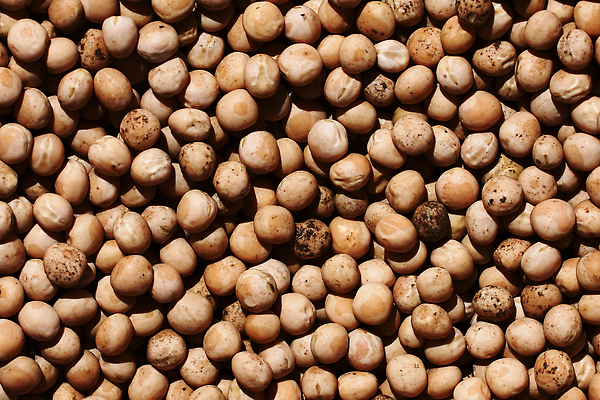 포토 JPG 해외이미지 식물 지구 음식 백그라운드 패턴 농업 채소 재료 공 콩 건조 건강 씨앗 사람없음 초록색 농작물 갈색 노란색 쌓기 식사 활발 성장 흰색 신선 변화 농부 낟알 먹기 묘사 유기농 원예 질감 완두콩 날것 흙더미 내추럴 고립 꼬투리 병아리콩 숙성 줄서기 채식주의자 비건 해외202309 해외포토 직업 웰빙 산업 컬러 컨셉 무늬 모션 곡류 취미 흙 채식 파일형식 더미