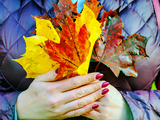 포토 JPG 해외이미지 백인 템플릿 손 계절 여자 행복 얼굴 컬러 꽃다발 컨셉 잎 오렌지 자연 주택 사람 성인 사람없음 빨간색 초록색 빛 컬러풀 태양 뷰티 노란색 유행 맑음 고요 산책 잡기 황금 떨어짐 시원함 9월 11월 수집 질감 기회 추수감사절 10월 해외202309 해외포토 자연요소 서양인 식물 꽃 감정 기독교 과일 모션 날씨 휴식 건물 신체부위 날짜 생태계 파일형식