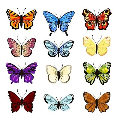 EPS 해외이미지 손 디자인 실루엣 컬러 나비 곤충 결혼 백그라운드 컨셉 패턴 날개 오렌지 일러스트 자연 추상 수채화 미술 그래픽 장식 빨간색 초록색 여름 파란색 세트 노란색 정원 검은색 봄 흰색 만화 수집 문신 그림 질감 초대 공상 마법 나방 고립 스크랩북 엘리먼트 벡터 해외202309 해외일러스트 동물 계절 무늬 과일 문화예술 촬영기법 이벤트 신체부위 생태계 파일형식