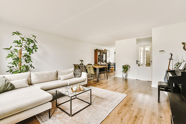 포토 JPG 해외이미지 식물 화분 의자 식탁 탁자 사람없음 인테리어 소파 문 카펫 공간 방 기타 해외202309 해외포토 디자인 가구 현악기 파일형식