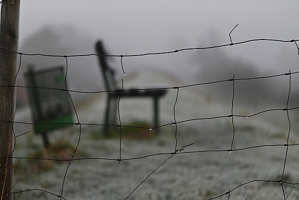 포토 JPG 해외이미지 백그라운드 겨울 벤치 자연 아침 날씨 사람없음 야외 울타리 냉동 추위 안개 쓰레기통 서리 뿌연 해외202309 해외포토 주간 계절 의자 담장 생태계 파일형식