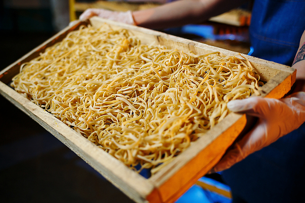 포토 JPG 해외이미지 여자 유니폼 공장 노동자 파스타 한명 들기 상반신 성인 앞모습 업무 제조 페투치네 성인여자한명만 해외202309 해외포토 직업 1 옷 뷰포인트 공업 모션 서양음식 사람 작업 파스타면 여자한명만 성인여자만 파일형식