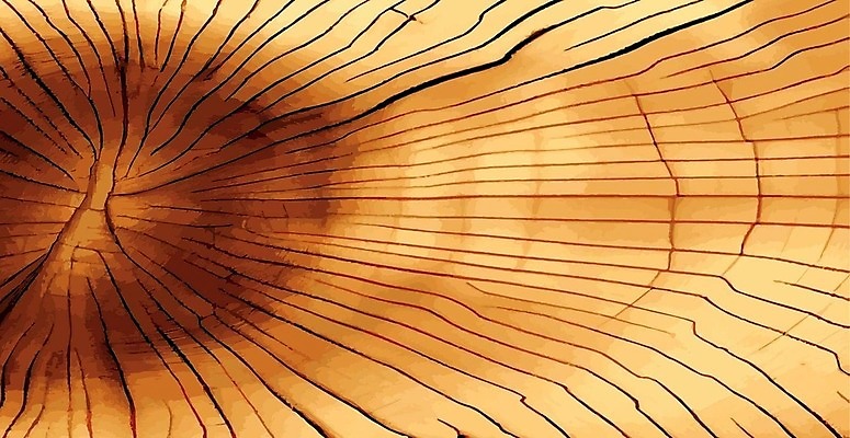 EPS 해외이미지 나무 식물 디자인 공원 포스터 여행 잎 일러스트 자연 국립공원 미술 풍경 야외 목재 그래픽 초록색 미국 수확 가을 소나무 황무지 플랫 숲 인쇄 큼 사회이슈 향수 환경보전 복고 캘리포니아 거인 내추럴 랜드마크 옛날 스타일 벡터 해외202309 해외일러스트 계절 공공시설 컬러 컨셉 북아메리카 농업 재료 문화예술 화장품 크기 생태계 파일형식