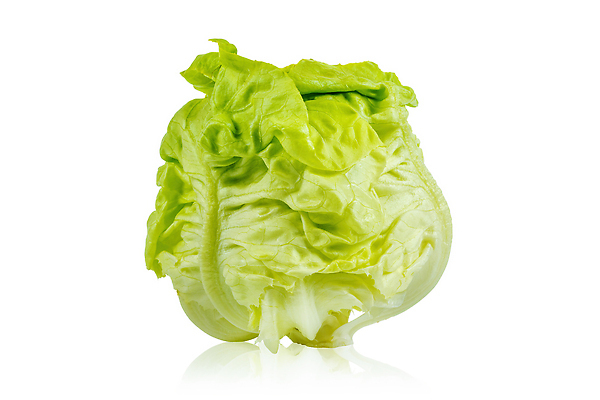 포토 JPG 해외이미지 건강 사람없음 초록색 신선 양상추 해외202309 해외포토 컬러 채소 파일형식