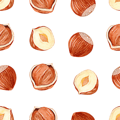 JPG 해외이미지 패턴 일러스트 사람없음 손그림 헤이즐넛 해외202309 해외일러스트 무늬 견과류 파일형식