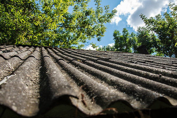 포토 JPG 해외이미지 식물 백그라운드 패턴 건축양식 자연 지붕 날씨 주택 노르웨이 이끼 사람없음 야외 건물 초록색 뷰티 정원 회색 수확 바위 시골 해조류 닫기 숲 옥상 천 타일 묘사 질감 겹침 내추럴 곰팡이 석판 옛날 레터링 해외202309 해외포토 건축물 건축 유럽 컬러 무늬 농업 모션 돌_바위 직물 해양식물 생태계 파일형식