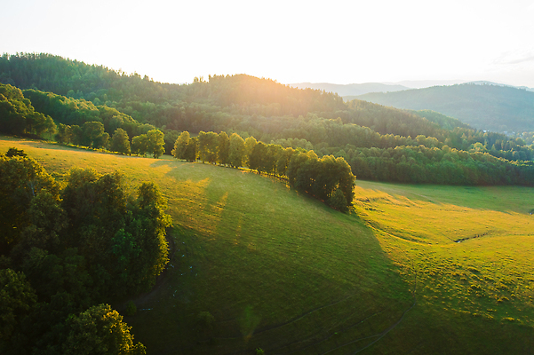 포토 JPG 해외이미지 나무 식물 계절 여행 잎 자연 안테나 풍경 사람없음 목재 초록색 여름 햇빛 태양 뷰티 환경 일몰 새벽 성장 시골 신선 황무지 숲 언덕 생태계 내추럴 산악지대 강렬 단절 드론 삼림지대 생태학 해외202309 해외포토 자연요소 교육 컬러 재료 통신 산 노을 파일형식