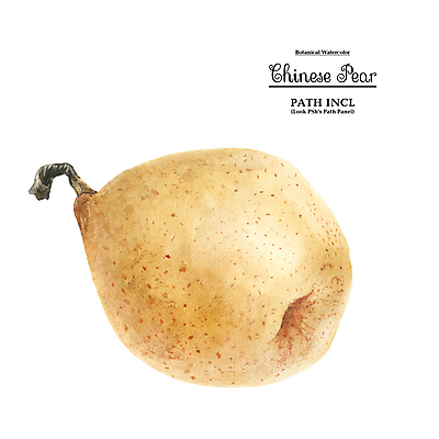 JPG 해외이미지 일러스트 사람없음 해외202309 해외일러스트 파일형식