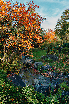 포토 JPG 해외이미지 나무 식물 계절 공원 여행 잎 오렌지 요가 모션 자연 휴가 산 사람없음 야외 목재 빨간색 초록색 물 강 컬러풀 뷰티 노란색 맑음 일몰 폭포 하이킹 흐름 연못 개울 황무지 숲 명상 속도 장면 암초 해외202309 해외포토 자연요소 웰빙 공공시설 컬러 컨셉 과일 재료 레저 날씨 노을 생태계 파일형식