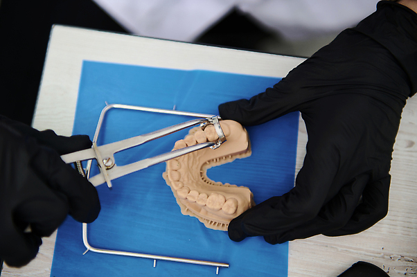 포토 JPG 해외이미지 조각 해부 왕관 건강 치과 병원 관리 사람 사람없음 치료 약 장비 의사 도구 작업 도자기 치아 전문직 서비스 치과의사 턱 틀니 곰팡이 교체 백자 보철 복원 석고 치아교정 해외202309 해외포토 직업 의학 의료진 소화기관 교정 파일형식