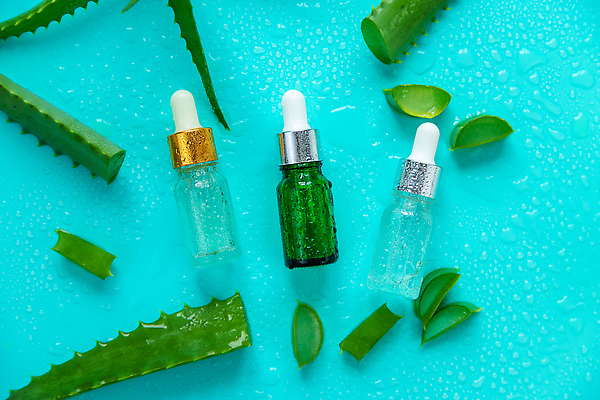 포토 JPG 해외이미지 하늘색 백그라운드 자연 사람없음 아웃포커스 초록색 뷰티 신선 오일 수분 내추럴 알로에 해외202309 해외포토 식물 음식 컬러 촬영기법 파란색 화장품 생태계 파일형식