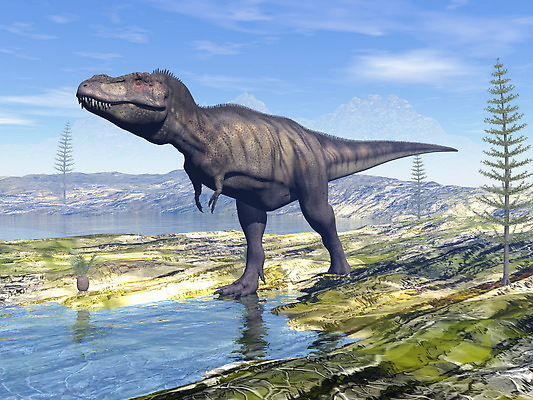 포토 JPG 해외이미지 식물 동물 구름 1 음료 야생동물 모래 일러스트 파충류 자연 풍경 사람없음 그래픽 물 3D 걷기 디지털 산책 사막 황무지 역사 갈증 공룡 만들기 도마뱀 육식동물 고생물 육식 멸종 선사시대 힘찬 해외202309 해외일러스트 자연요소 컨셉 모션 휴식 생물 디지털합성 생태계 파일형식