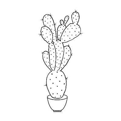 EPS 해외이미지 식물 템플릿 디자인 꽃 어린이 백그라운드 잎 꽃무늬 일러스트 자연 선인장 주택 실내 손바닥 미술 성인 책 흰색 가시 낙서 냄비 만화 스케치 유기농 원예 질감 윤곽 손그림 페이지 내추럴 고립 다육식물 엘리먼트 벡터 해외202309 해외일러스트 손 웰빙 컬러 무늬 문화예술 사람 취미 내부 건물 솥 생태계 파일형식