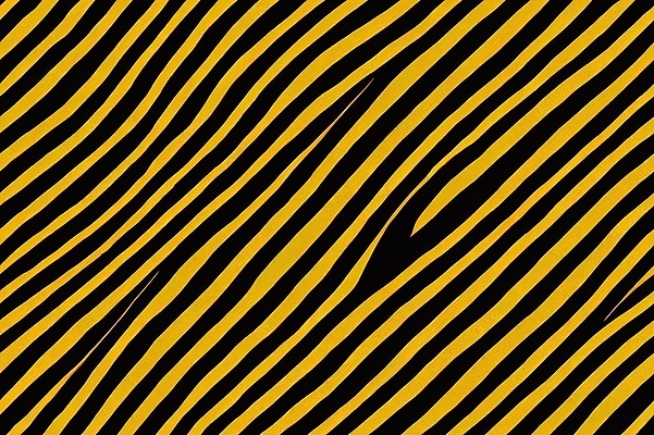 포토 JPG 해외이미지 전통 디자인 선 컬러 패턴 일러스트 벽지 미술 사람없음 장식 세로 파란색 유행 디지털 골짜기 목도리 줄무늬 카펫 직물 질감 복고 짜임 부족 내추럴 짜기 콘크리트 세련 해외202309 해외일러스트 잡화 컨셉 무늬 모션 자연 문화예술 파일형식