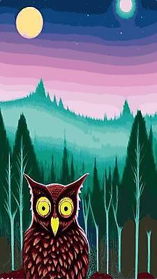 EPS 해외이미지 나무 야생동물 일러스트 사람없음 야간 숲 부엉이 삼림지대 해외202309 해외일러스트 자연요소 식물 동물 조류 파일형식 벡터