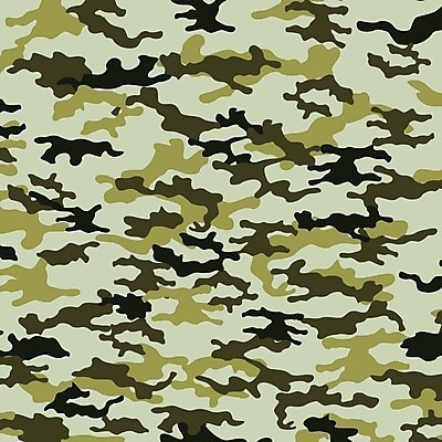 EPS 해외이미지 디자인 옷 백그라운드 컨셉 유니폼 패턴 일러스트 추상 초록색 유행 힘 직물 숲 천 질감 군용 싸움 전쟁 사냥 육군 변장 병정 삼림지대 특공대 벡터 해외202309 해외일러스트 컬러 무늬 모션 군대 특수부대 파일형식