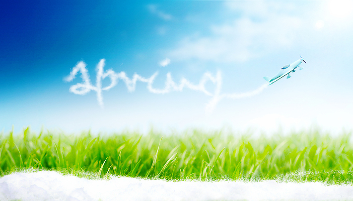 포토 JPG 해외이미지 식물 계절 공원 꽃잎 꽃 줄기 꽃다발 백그라운드 잎 겨울 꽃무늬 밭 자연 휴가 부활절 사람없음 초록색 뷰티 환경 정원 봄 성장 벚꽃 신선 신용카드 개화 떨어짐 숲 4월 원예 내추럴 헌병 해외202309 해외포토 공공시설 기념일 컬러 컨셉 무늬 농업 취미 금융 군인 날짜 생태계 파일형식