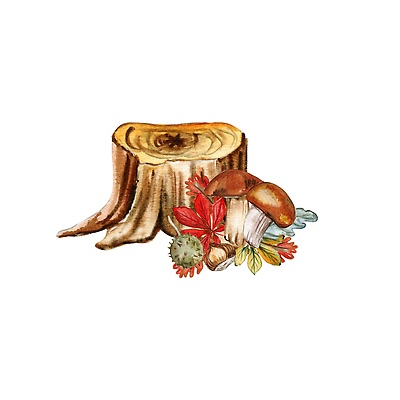 포토 JPG 해외이미지 디자인 계절 꽃다발 백그라운드 컨셉 스티커 잎 패턴 곡선 채소 오렌지 일러스트 자연 호박 휴가 프레임 사람없음 장식 세트 노란색 라벨 페인트 할로윈 수확 성장 소용돌이 시골 인사 얼룩 황금 우아함 스케치 그림 초대 추수감사절 10월 고립 구성 엘리먼트 채식주의자 파스텔톤 국경 해외202309 해외일러스트 식물 꽃 기독교 선 컬러 무늬 농업 과일 미술 회오리 예절 날짜 생태계 채식 파일형식