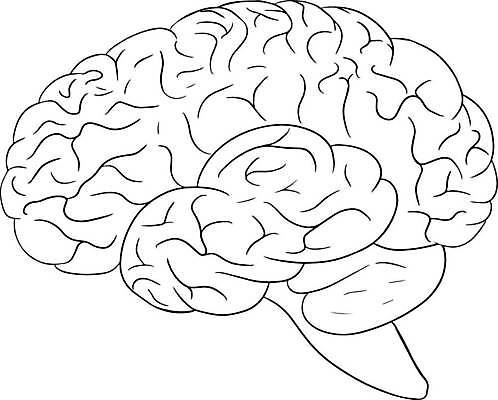 EPS 해외이미지 모양 손 디자인 교육 선 과학 백그라운드 컨셉 신체 일러스트 해부 추상 프레임 건강 미술 사람 내부 그래픽 장식 세트 약 연필 검은색 오르간 낙서 인쇄 스케치 수집 사인 그림 간 시스템 돌봄 엘리먼트 벡터 해외202309 해외일러스트 컬러 무늬 의학 모션 문화예술 학용품 신체부위 필기구 장기_의학 건반악기 파일형식