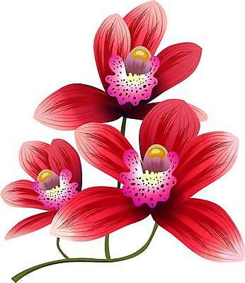 EPS 해외이미지 식물 디자인 꽃잎 꽃 컬러 꽃다발 섬 여행 결혼 백그라운드 잎 꽃무늬 일러스트 자연 벽지 휴가 그래픽 장식 빨간색 초록색 컬러풀 뷰티 유행 봄 수확 벚꽃 흰색 나뭇가지 신선 신용카드 난초 달콤 숲 그림 초대 고립 이국적 파라다이스 해외202309 해외일러스트 나무 계절 무늬 농업 이벤트 금융 맛 생태계 파일형식 벡터