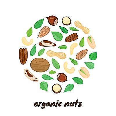 EPS 해외이미지 디자인 음식 백그라운드 컨셉 농업 다이어트 일러스트 재료 자연 건조 건강 장식 초록색 갈색 견과류 껍질 신선 원형 그룹 낙서 혼합 만화 먹기 심볼 오브젝트 유기농 날것 땅콩 호두 아몬드 브라질 내추럴 개암나무 고립 엘리먼트 채식주의자 캐슈넛 피스타치오 피칸 벡터 개암 현실 디테일 해외202309 해외일러스트 도형 나무 웰빙 열매 산업 컬러 모션 남아메리카 생태계 채식 파일형식