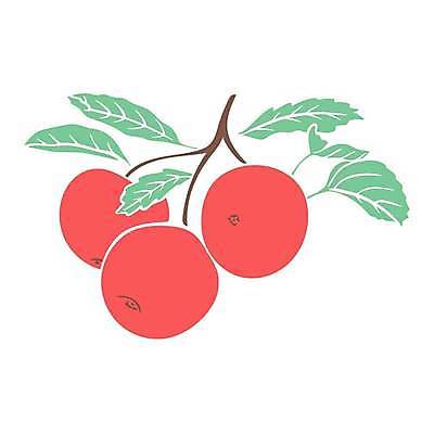 EPS 해외이미지 클립아트 식물 손 선 음식 잎 농업 다이어트 과일 일러스트 자연 바닥 건강 3 미술 그래픽 빨간색 농장 수확 나뭇가지 신선 달콤 낙서 사과 스케치 싱글 유기농 복고 심플 판화 고립 숙성 채식주의자 스타일 벡터 해외202309 해외일러스트 나무 웰빙 산업 컬러 문화예술 신체부위 맛 생태계 채식 파일형식