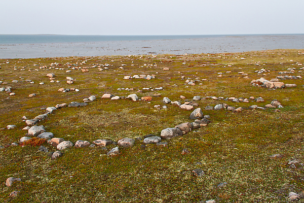 포토 JPG 해외이미지 전통 문화 캐나다 자연 텐트 사람 사람없음 평화 환경 침묵 캠핑 반지 황무지 고독 땅 북극 장면 철새 내추럴 고고학 고립 취급주의 해외202309 해외포토 교육 감정 컨셉 북아메리카 장신구 조류 레저 캠핑도구 경고 소리 극지방 생태계 파일형식
