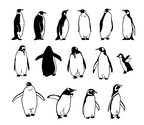 EPS 해외이미지 동물 야생동물 컬러 겨울 일러스트 포유류 자연 조류 동물원 서기 세트 아기 플랫 수집 남극 북극 펭귄 북쪽 물갈퀴 고립 벡터 해외202309 해외일러스트 계절 모션 사람 극지방 방향 생태계 파일형식