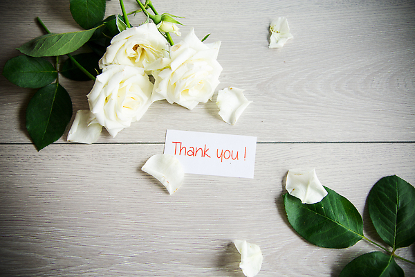 포토 JPG 해외이미지 식물 디자인 꽃잎 꽃 결혼 백그라운드 꽃무늬 패턴 텍스트 탁자 휴가 발렌타인데이 선물 사랑 사람없음 목재 빛 뷰티 장미 파티 봄 수확 벚꽃 흰색 시골 축하 인사 신용카드 생일 개화 다발 복고 감사 엽서 스타일 많음 레터헤드 국경 비어있는 해외202309 해외포토 나무 계절 기념일 감정 컬러 가구 컨셉 무늬 농업 재료 데이이벤트 이벤트 금융 예절 편지 파일형식