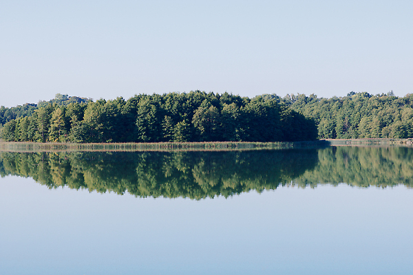 포토 JPG 해외이미지 나무 식물 공원 호수 여행 백그라운드 자연 하늘 표면 아침 휴가 파노라마 사람없음 야외 목재 가로 초록색 물 파란색 뷰티 반사 평화 일출 환경 침묵 봄 시골 연못 소나무 황무지 숲 땅 장면 지역 멀리 내추럴 해외202309 해외포토 주간 자연요소 계절 공공시설 컬러 컨셉 재료 촬영기법 노을 소리 생태계 파일형식