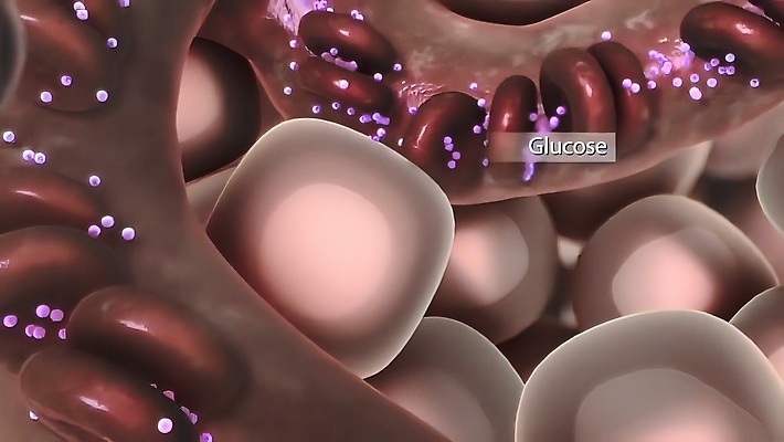 포토 JPG 해외이미지 과학 일러스트 세포 사람없음 신체부위 컴퓨터그래픽 약 3D 건강관리 바이러스 확대 설탕 집중 생물학 만들기 염색체 암 당뇨병 물리학 인슐린 포도당 더스트파티클 해외202309 해외포토 교육 컨셉 의학 모션 건강 관리 사람 그래픽 질병 생명공학 디지털합성 물리 파일형식