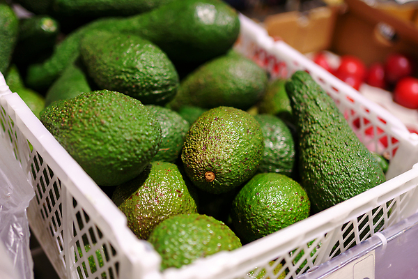 포토 JPG 해외이미지 라이프스타일 잡화 음식 백그라운드 농업 다이어트 채소 과일 비즈니스 재료 선반 건강 사람없음 초록색 뷰티 농장 상점 신선 시장 구매 상품 먹기 고객 유기농 질감 날것 소매 아보카도 슈퍼마켓 내추럴 숙성 이국적 채식주의자 해외202309 해외포토 웰빙 산업 컬러 가구 모션 생활 쇼핑 채식 파일형식