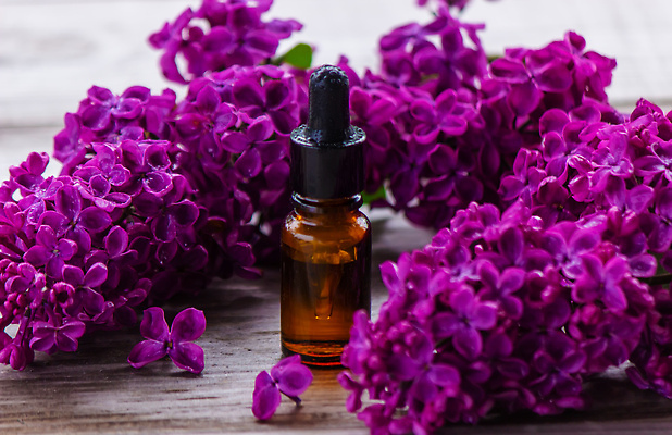 포토 JPG 해외이미지 식물 라이프스타일 웰빙 배너 꽃 분홍색 꽃다발 백그라운드 꽃무늬 신체 자연 유리 휴식 건강 사람없음 목재 치료 뷰티 약 보라색 스파 봄 벚꽃 흰색 신선 마사지 약국 소중 허브 향수 준비 향기 아로마 아로마테라피 테라피 라일락 내추럴 돌봄 에센스 추출 카피스페이스 해외202309 해외포토 나무 계절 컬러 컨셉 무늬 재료 의학 모션 재질 생활 화장품 공백 생태계 냄새 파일형식