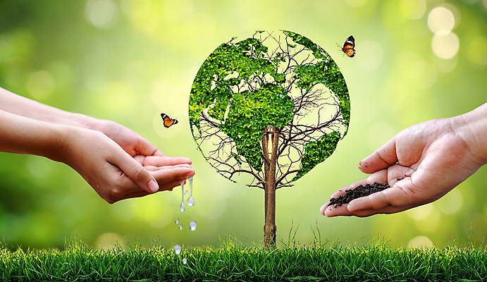 포토 JPG 해외이미지 나무 손 나비 자연 생명 잔디 신체부위 물 흙 에코 손모으기 해외202309 해외포토 자연요소 식물 곤충 사람 손짓 환경 생태계 파일형식