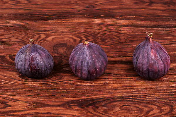 포토 JPG 해외이미지 과일 사람없음 무화과 해외202309 해외포토 파일형식