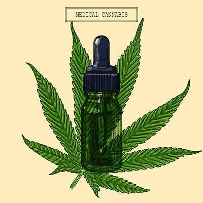 EPS 해외이미지 일러스트 사람없음 초록색 약초 오일 허브 오일병 대마초 마리화나 해외202309 해외일러스트 식물 음식 컬러 화장품 풀_식물 마약 파일형식 벡터