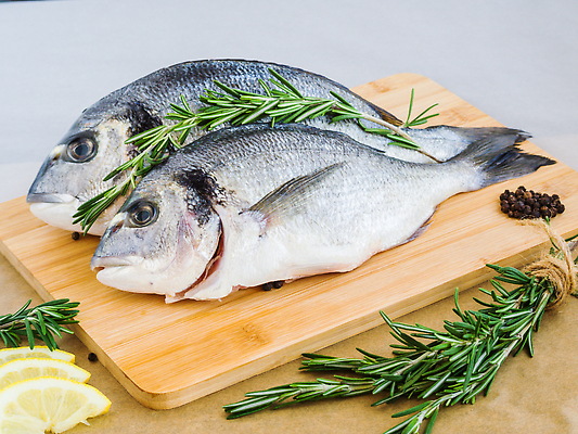 포토 JPG 해외이미지 접시 음식 바다 백그라운드 다이어트 재료 자연 피망 건강 어류 요리 사람없음 목재 우주 주방 식사 저녁식사 신선 양념 맛 정상 지중해 레몬 허브 해산물 향신료 준비 매움 날것 도미 소금 후추 성분 로즈메리 단백질 생식 오메가 맛있는 해외202309 해외포토 나무 식물 식기 컨셉 채소 과일 수중동물 생태계 영양소 향미료 파일형식