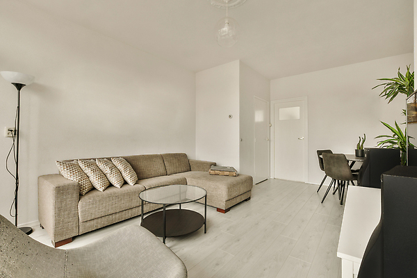 포토 JPG 해외이미지 식물 쿠션 의자 식탁 탁자 사람없음 인테리어 소파 문 공간 방 스탠드 해외202309 해외포토 디자인 가구 조명 파일형식