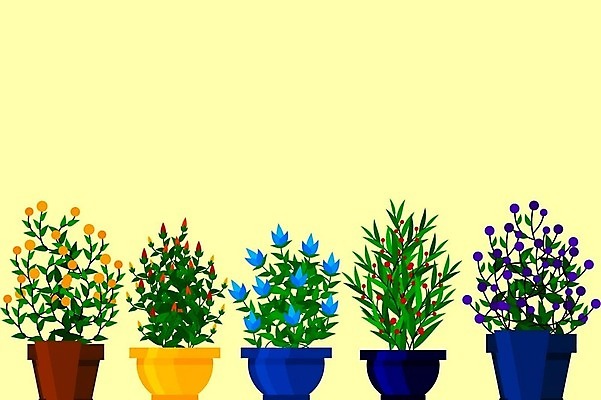EPS 해외이미지 나무 식물 디자인 꽃 화분 화초 컬러 백그라운드 잎 꽃무늬 일러스트 자연 선인장 주택 실내 미술 내부 그래픽 장식 초록색 여름 세트 뷰티 정원 성장 흰색 플랫 냄비 만화 수집 심볼 오브젝트 원예 내추럴 고립 모종 심기 엘리먼트 스타일 벡터 해외202309 해외일러스트 계절 무늬 모션 문화예술 취미 건물 솥 생태계 파일형식