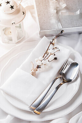 포토 JPG 해외이미지 라이프스타일 접시 디자인 계절 음식 컬러 백그라운드 포크 컨셉 크리스마스 겨울 탁자 휴가 새로움 주택 사람 이벤트 사람없음 장식 빨간색 초록색 세트 파티 주방 식당 식사 저녁식사 식탁보 흰색 시골 축하 칼 고급 우아함 은색 배열 먹기 오브젝트 냅킨 고립 비어있는 해외202309 해외포토 식기 기념일 가구 모션 건물 생활 상점 파일형식