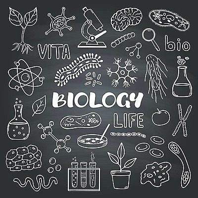 EPS 해외이미지 식물 교육 안경 과학 일러스트 돋보기 세포 현미경 세트 새싹 칠판 흰색 낙서 DNA 뇌 생물학 손그림 벡터 해외202309 해외일러스트 잡화 컬러 실험기구 생명공학 파일형식