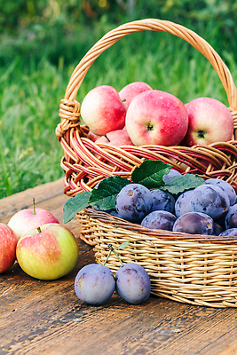포토 JPG 해외이미지 계절 음식 컬러 백그라운드 농업 과일 자연 건강 사람없음 야외 목재 빨간색 초록색 여름 바구니 정원 수확 가을 신선 달콤 사과 유기농 자두 내추럴 땅바닥 숙성 채식주의자 맛있는 해외202309 해외포토 나무 웰빙 산업 재료 바닥 맛 생태계 채식 파일형식