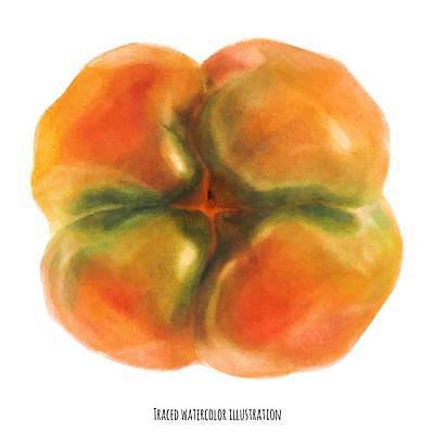 EPS 해외이미지 일러스트 파프리카 사람없음 주황색 해외202309 해외일러스트 컬러 채소 파일형식 벡터