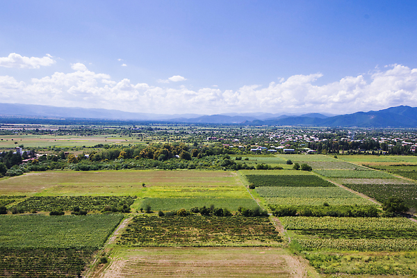 포토 JPG 해외이미지 식물 계절 산업 밭 농업 자연 하늘 안테나 풍경 사람없음 야외 초록색 여름 파란색 빛 농작물 햇빛 태양 농장 농경지 마을 환경 농사 황혼 일몰 봄 수확 성장 광선 시골 저녁 땅 장면 밭일 조지아 줄서기 세련 해외202309 해외포토 자연요소 컬러 통신 모션 노을 야간 생태계 동유럽 파일형식