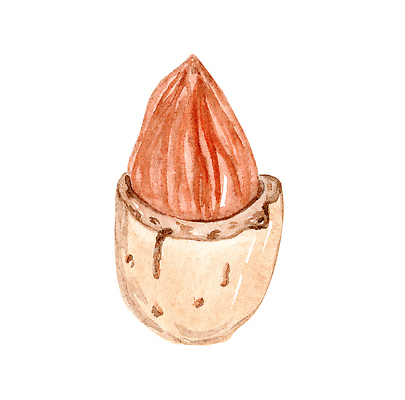 포토 JPG 해외이미지 음식 컬러 백그라운드 다이어트 과일 일러스트 재료 포장 자연 건조 건강 요리 미술 씨앗 사람없음 갈색 우유 견과류 수확 껍질 흰색 신선 맛 상품 스케치 먹기 묘사 오브젝트 그림 유기농 알맹이 날것 손그림 아몬드 내추럴 고립 단백질 채식주의자 핵심 비건 해외202309 해외일러스트 식물 웰빙 컨셉 농업 모션 문화예술 유제품 생태계 채식 영양소 파일형식