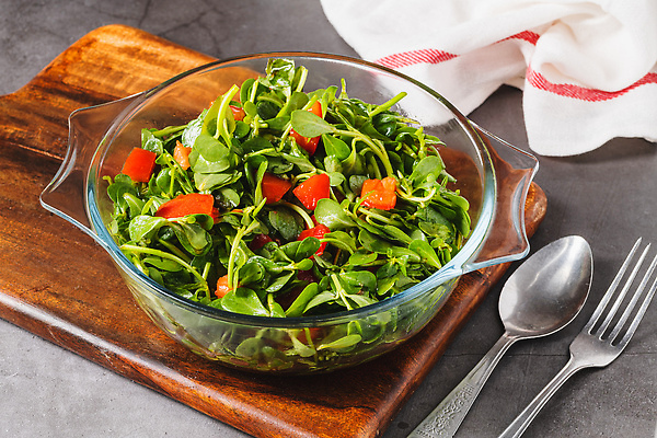 포토 JPG 해외이미지 접시 계절 음식 잎 다이어트 토마토 채소 재료 방울토마토 자연 건강 요리 사람없음 목재 초록색 식사 저녁식사 샐러드 신선 맛 지중해 먹기 허브 유기농 날것 내추럴 점심식사 채식주의자 비건 맛있는 해외202309 해외포토 나무 식물 식기 웰빙 바다 컬러 컨셉 모션 생태계 채식 파일형식