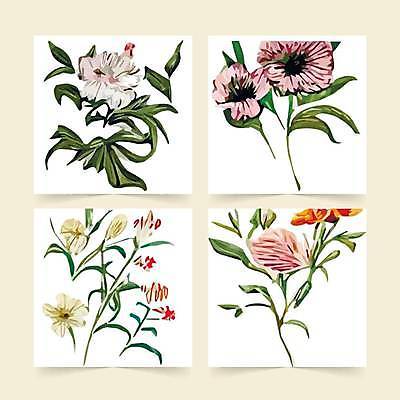 EPS 해외이미지 식물 디자인 꽃잎 꽃 컬러 꽃다발 결혼 백그라운드 컨셉 잎 꽃무늬 일러스트 선물 미술 장식 세트 정원 봄 낭만 수확 덮개 벚꽃 신용카드 그룹 클래식 우아함 인쇄 허브 오브젝트 그림 복고 향기 윤곽 고립 구성 이국적 파스텔톤 쓰다듬기 벡터 해외202309 해외일러스트 계절 무늬 농업 모션 문화예술 이벤트 금융 뚜껑 냄새 파일형식